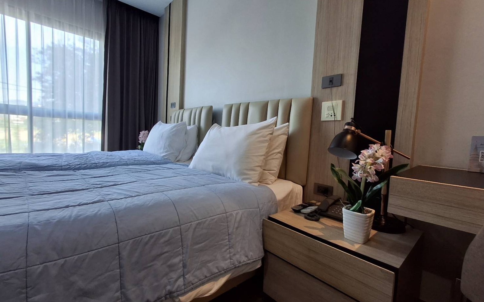 Studio Twin Bedroom - photo 2